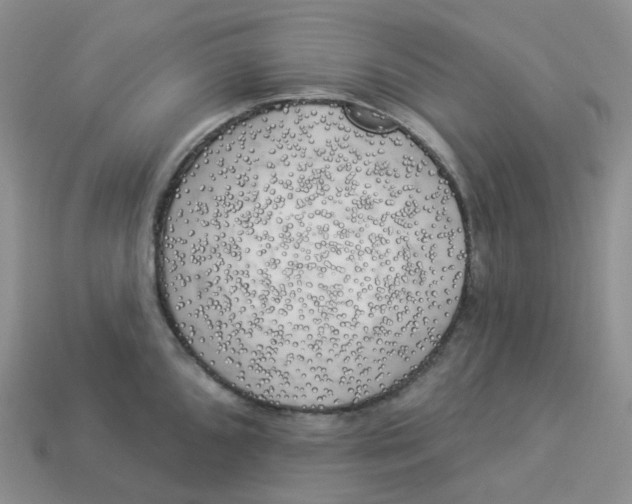 X0000113921096200910151434