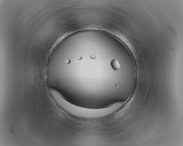 X0000113921097200910151434