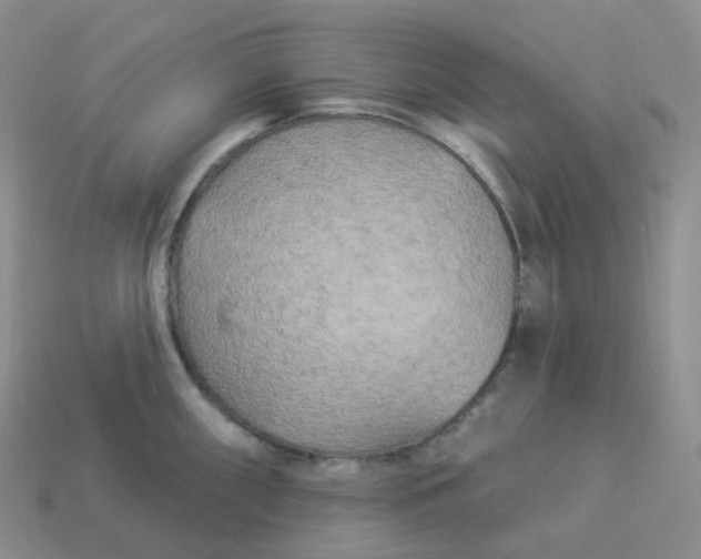 X0000113921098200910151434