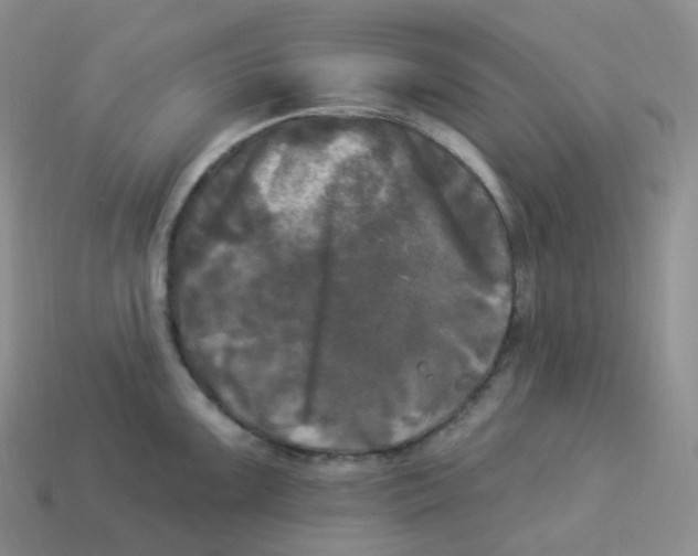 X0000113921099200910151434