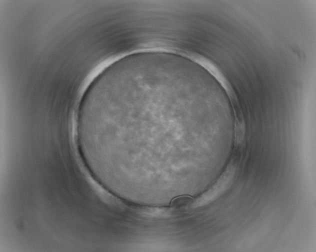 X0000113921101200910151434