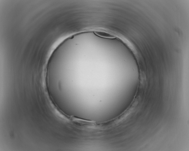 X0000113921102200910151434