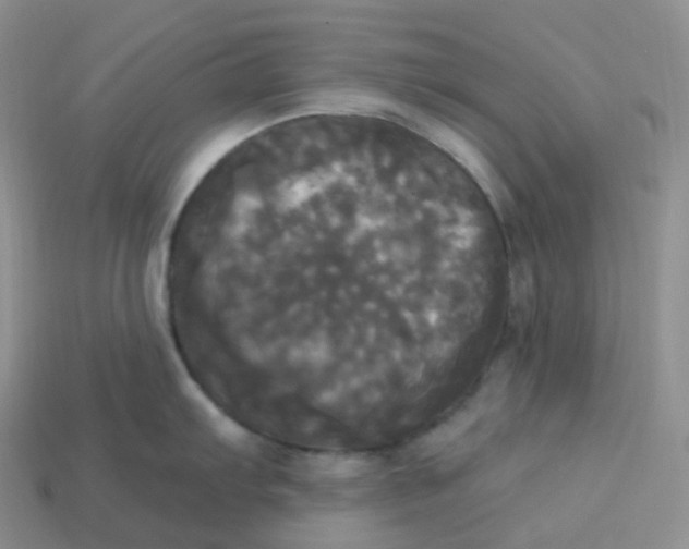 X0000113921103200910151434