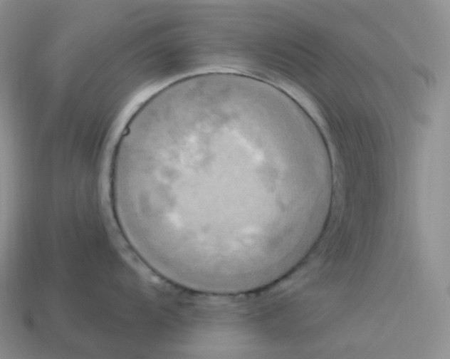 X0000113921104200910151434