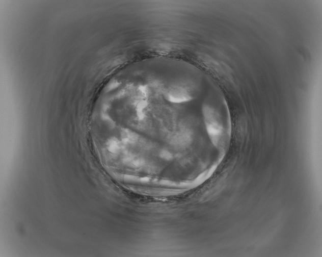 X0000113921105200910151433