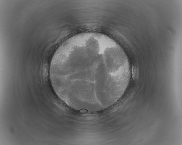 X0000113921107200910151433
