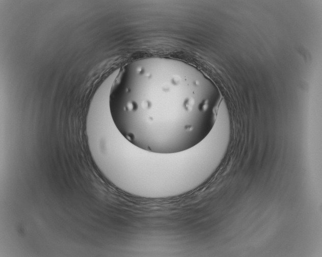 X0000113921108200910151433