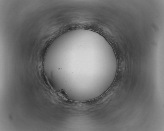 X0000113921109200910151433