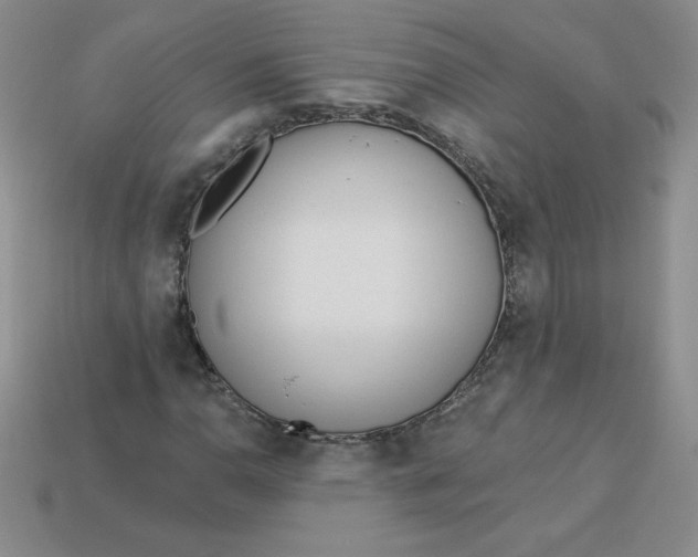 X0000113921110200910151433