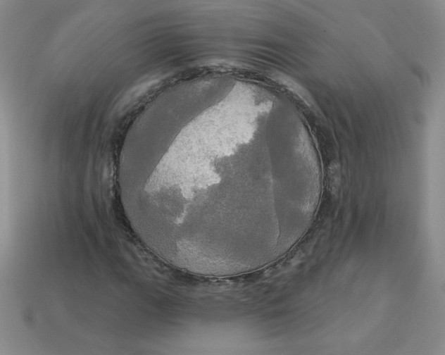 X0000113921111200910151433