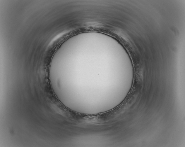 X0000113921112200910151433