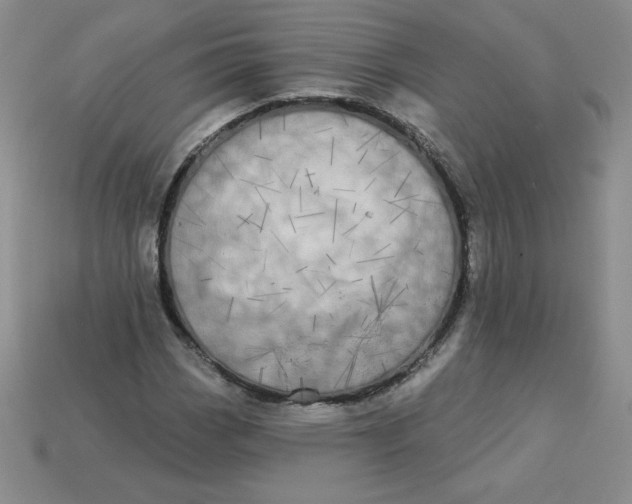 X0000113921113200910151433