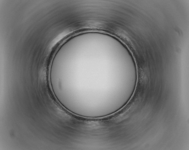 X0000113921114200910151433