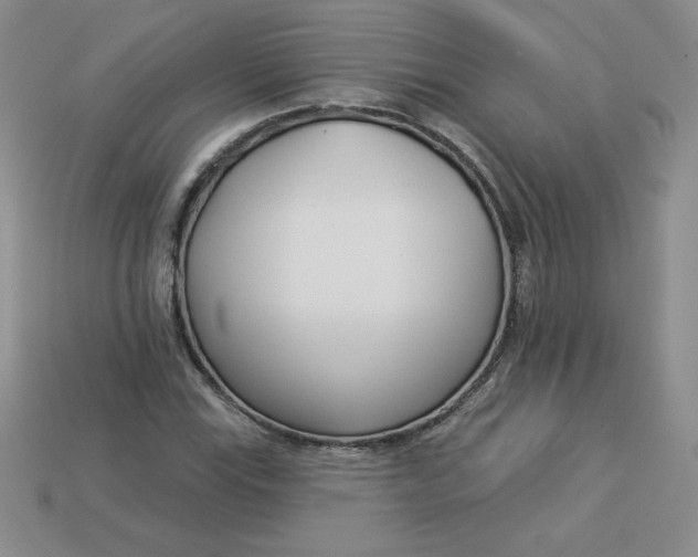 X0000113921115200910151433