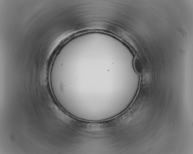 X0000113921116200910151433
