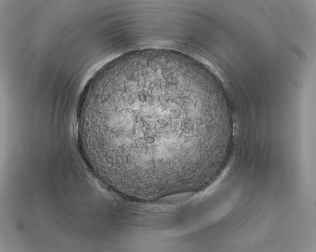 X0000113921117200910151433