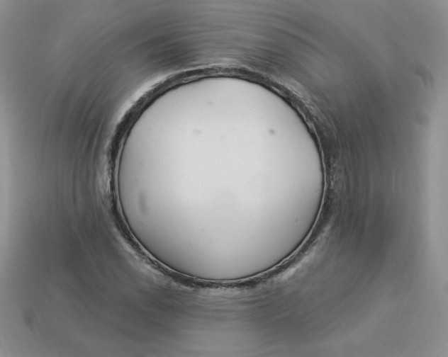X0000113921118200910151433