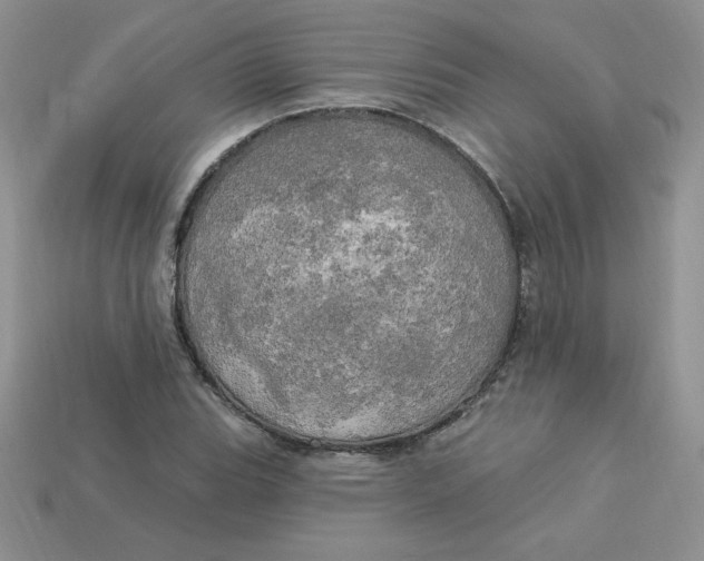 X0000113921119200910151433