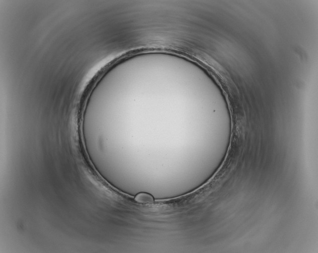 X0000113921120200910151433