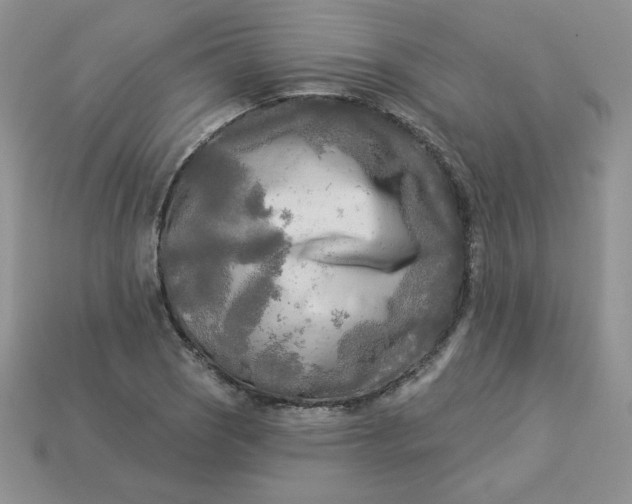 X0000113921121200910151433