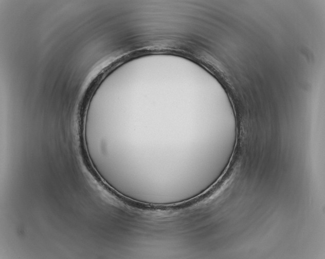 X0000113921122200910151433