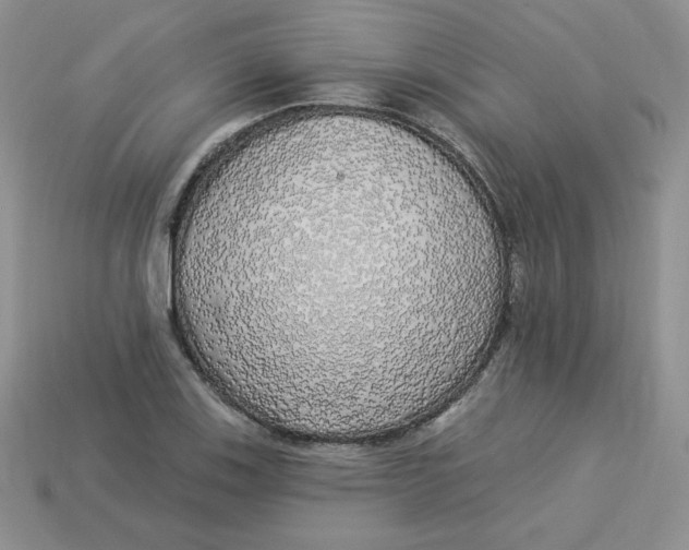 X0000113921123200910151433