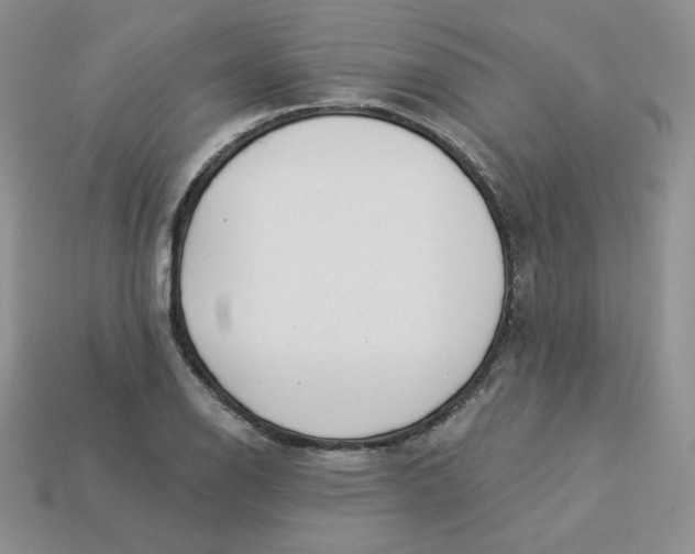 X0000113921126200910151433