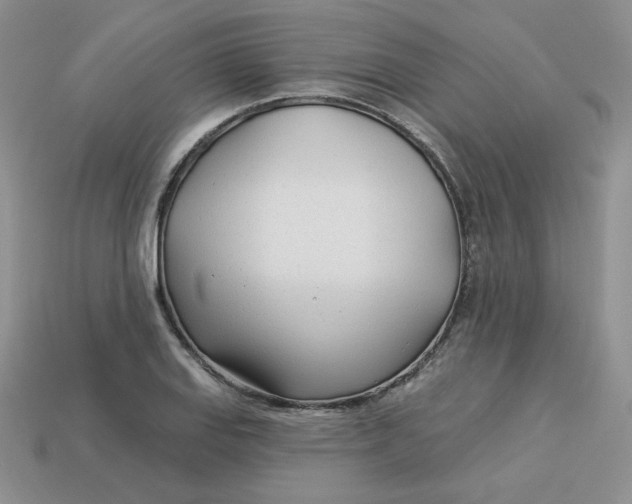 X0000113921127200910151433