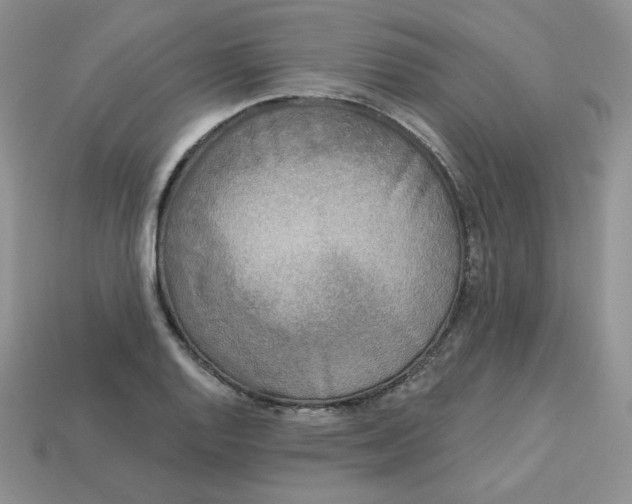 X0000113921128200910151433