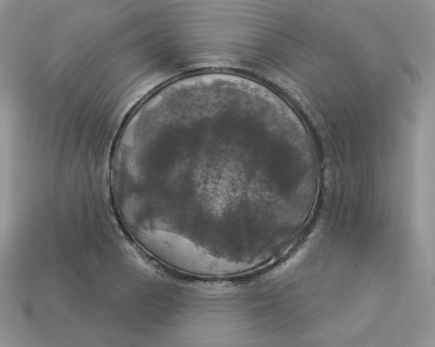 X0000113921129200910151433