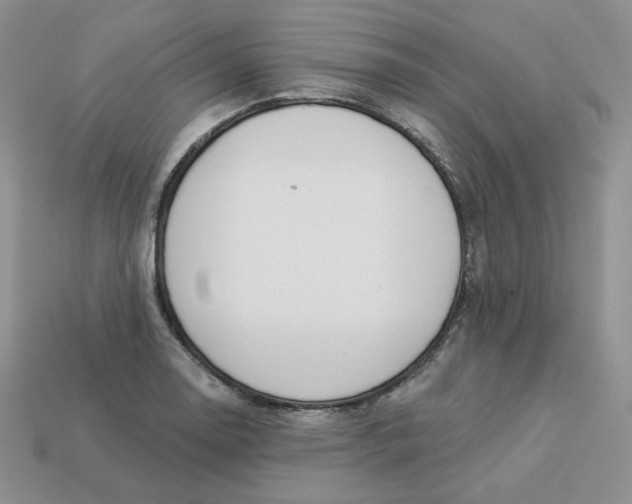 X0000113921130200910151433