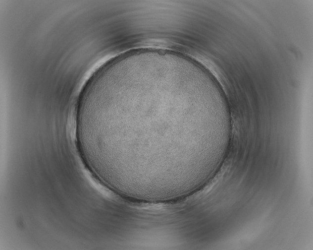 X0000113921131200910151433