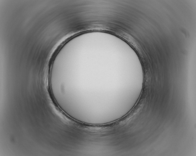 X0000113921132200910151433