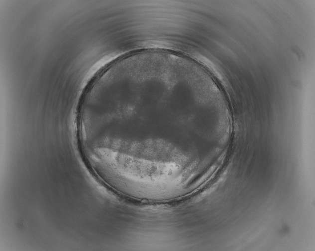 X0000113921133200910151433