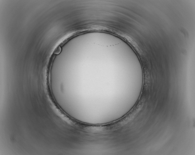 X0000113921134200910151433