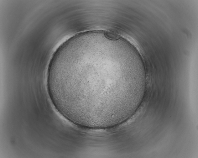 X0000113921135200910151433