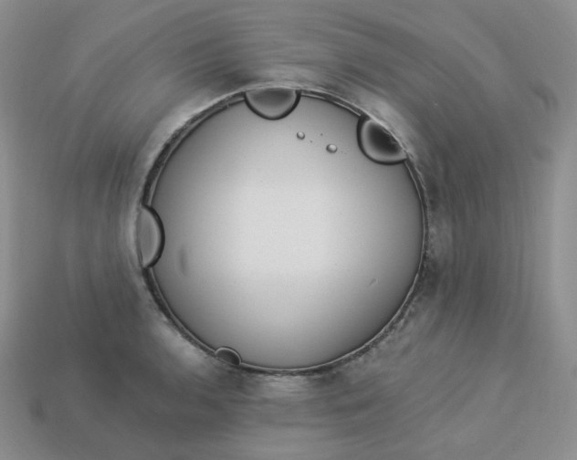 X0000113921136200910151433