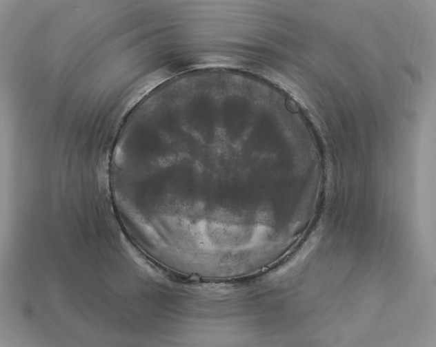X0000113921137200910151433