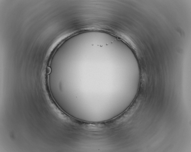 X0000113921138200910151433
