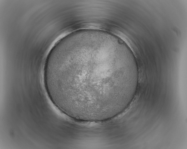 X0000113921139200910151433