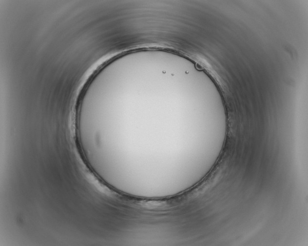 X0000113921140200910151433