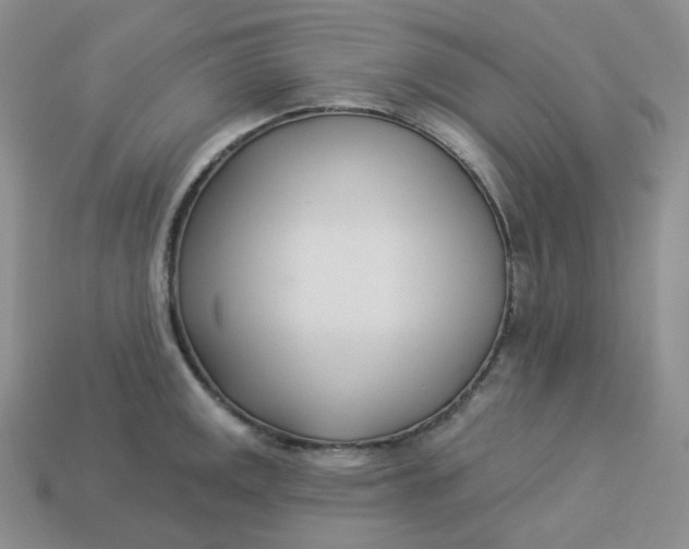 X0000113921141200910151433