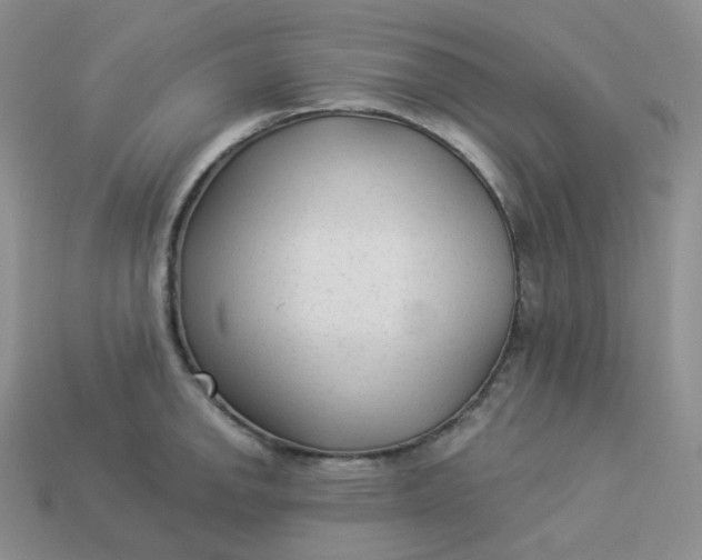X0000113921142200910151434