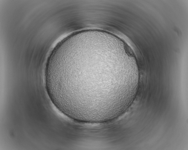 X0000113921143200910151434