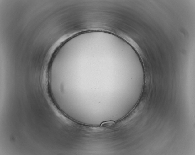 X0000113921144200910151434