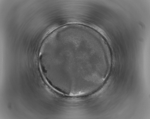 X0000113921145200910151434