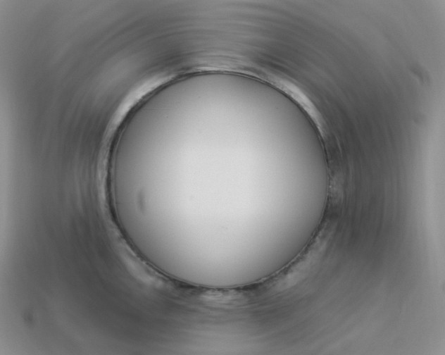 X0000113921146200910151434