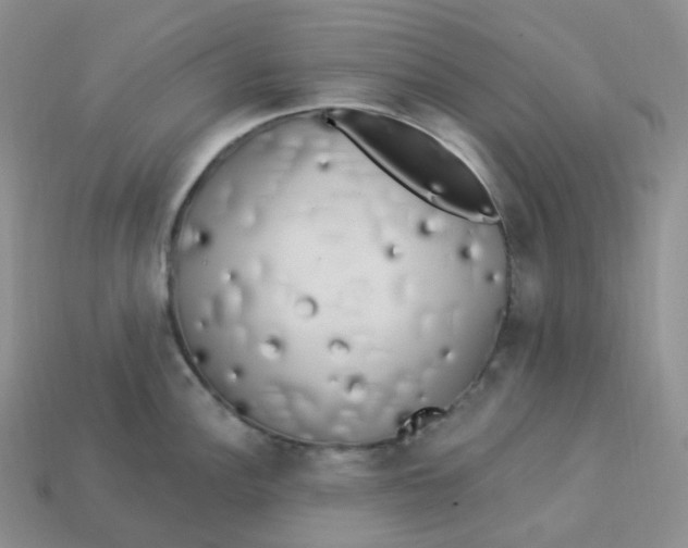 X0000113921148200910151434