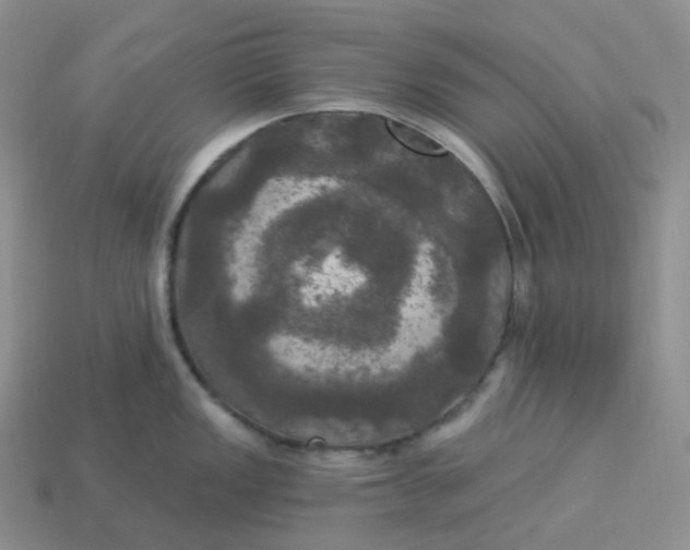 X0000113921149200910151434