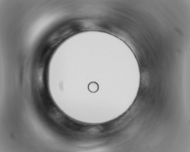 X0000113921150200910151434